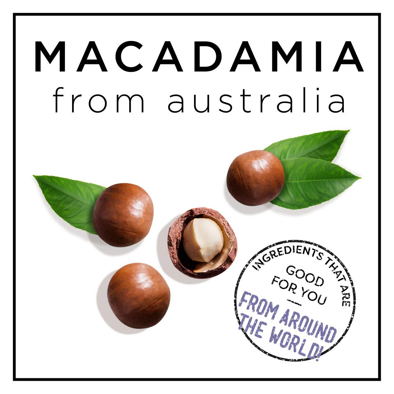 HASK Macadamia Oil Moisturizing Shampoo & Conditioner