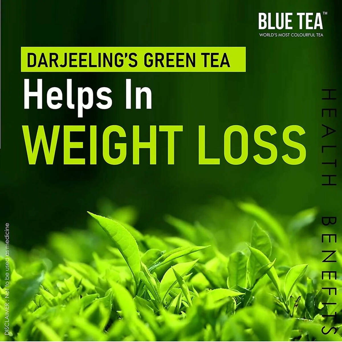 Blue Tea Organic Dandelion Green Tea Bags