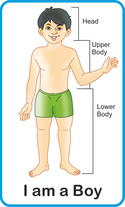 Jolly Kids Flash Card - My Body Parts