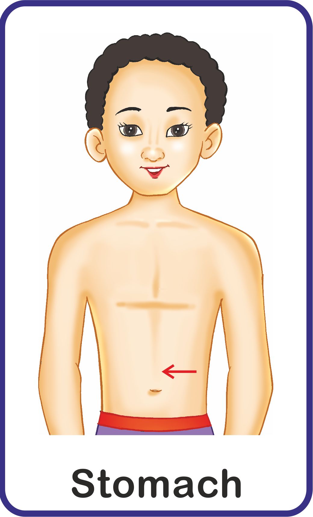 Jolly Kids Flash Card - My Body Parts