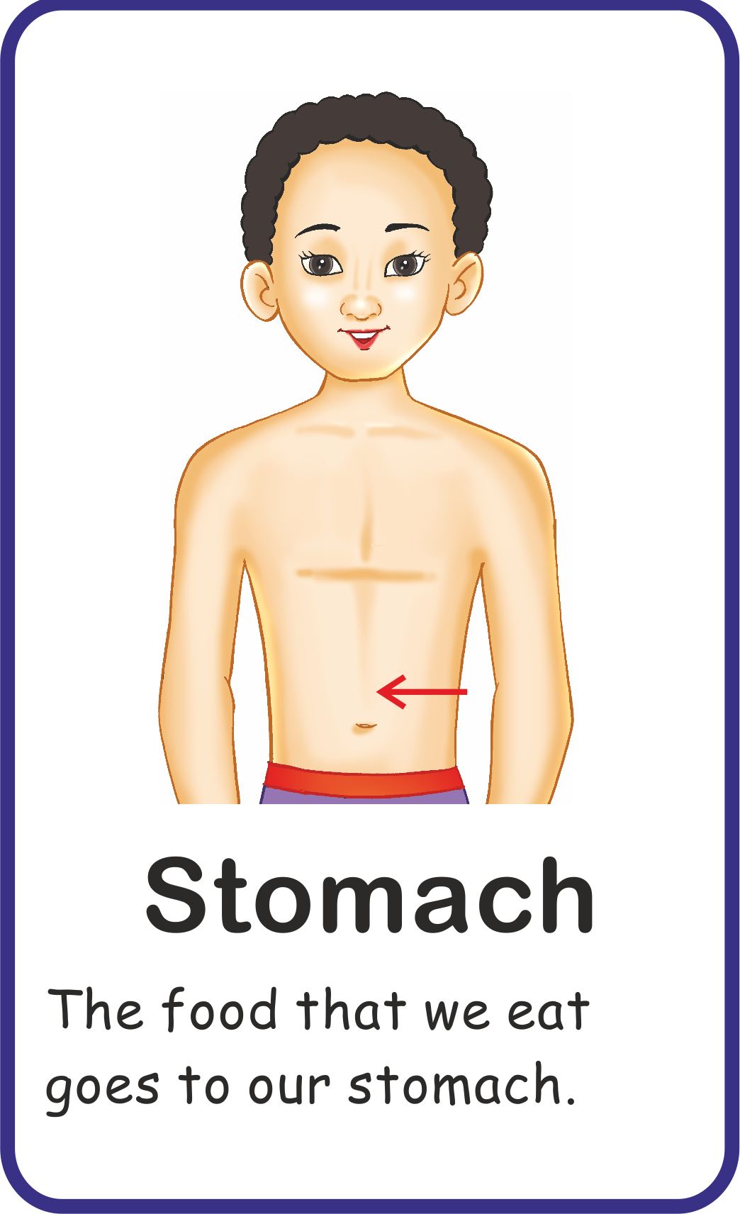 Jolly Kids Flash Card - My Body Parts