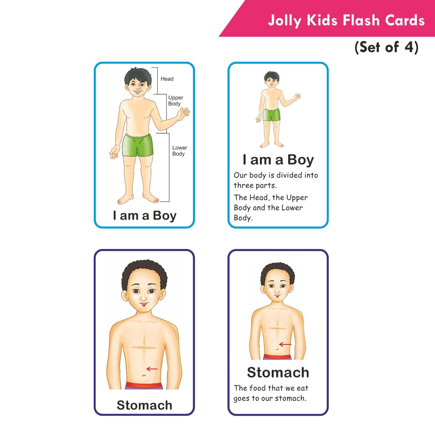 Jolly Kids Pre-school Learning Flash Cards for Kids| Set of 4| 32 Cards on Each Pack| Ages 1-6 Years