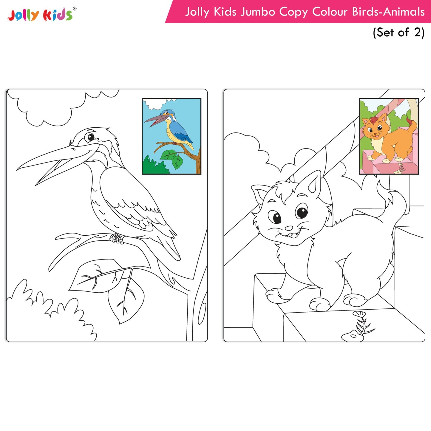 Jolly Kids Jumbo Copy Colour Books Set of 2| Colour Themes Birds, Dinosaurs, Animals, Ocean, Unicorns, Princess, Pirates, Mermaid| Ages 3-10 Years