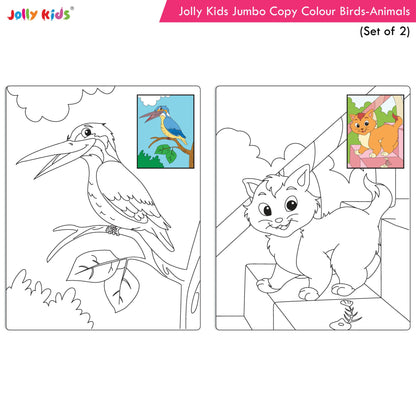 Jolly Kids Jumbo Copy Colour Books Set of 2| Colour Themes Birds, Dinosaurs, Animals, Ocean, Unicorns, Princess, Pirates, Mermaid| Ages 3-10 Years