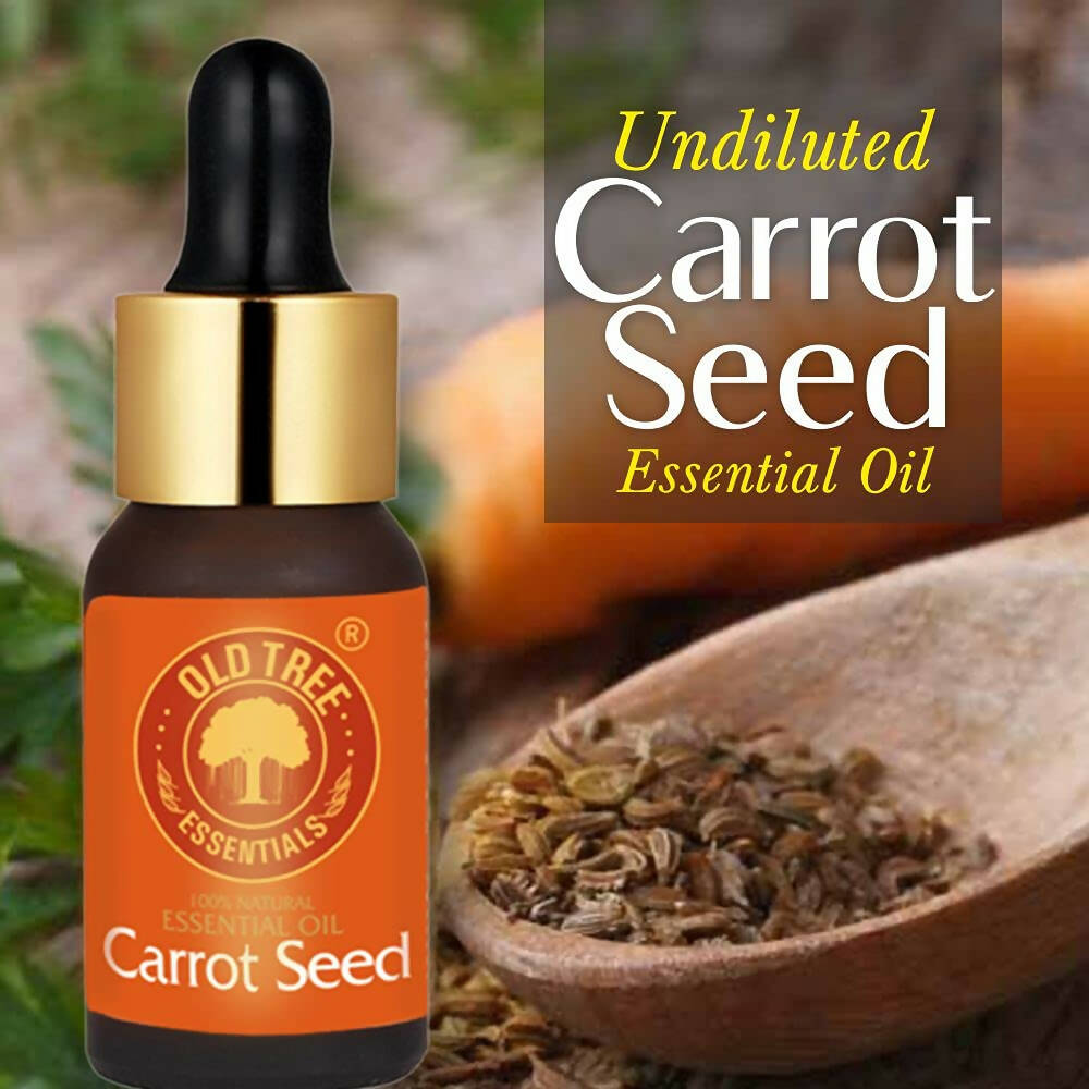 Old Tree Carrot Seed Essential Oil
