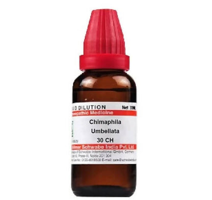 Dr. Willmar Schwabe India Chimaphila Umbellata Dilution 30 ch