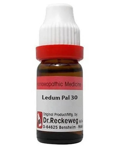 Dr. Reckeweg Ledum Pal Dilution - BUDNE