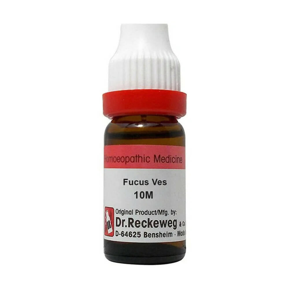 Dr. Reckeweg Fucus Ves Dilution - usa canada australia