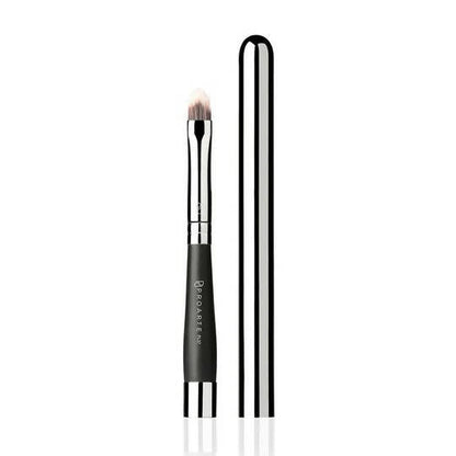 Proarte Retractable Lip Brush PL-37 - BUDNE