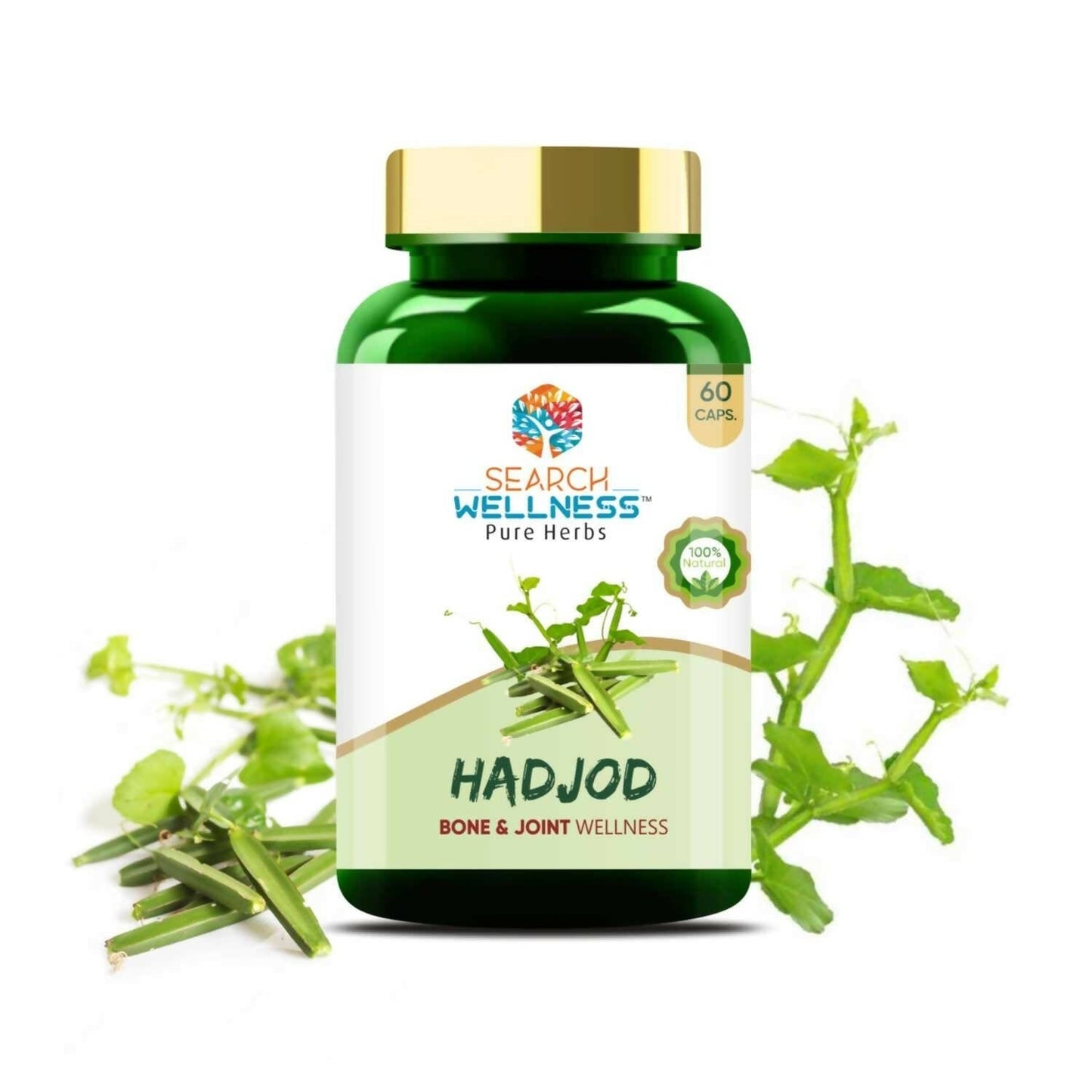 Search Wellness Hadjod Capsules