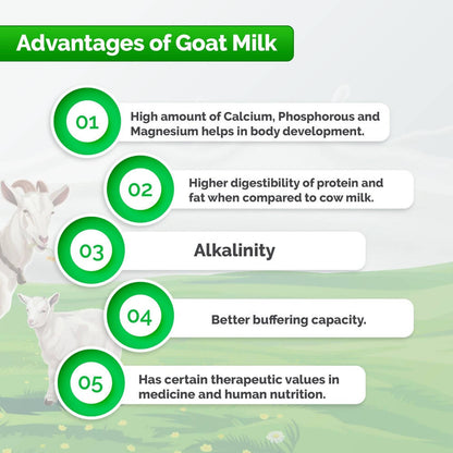 Aadvik Goat Milk Powder (200 Gm)