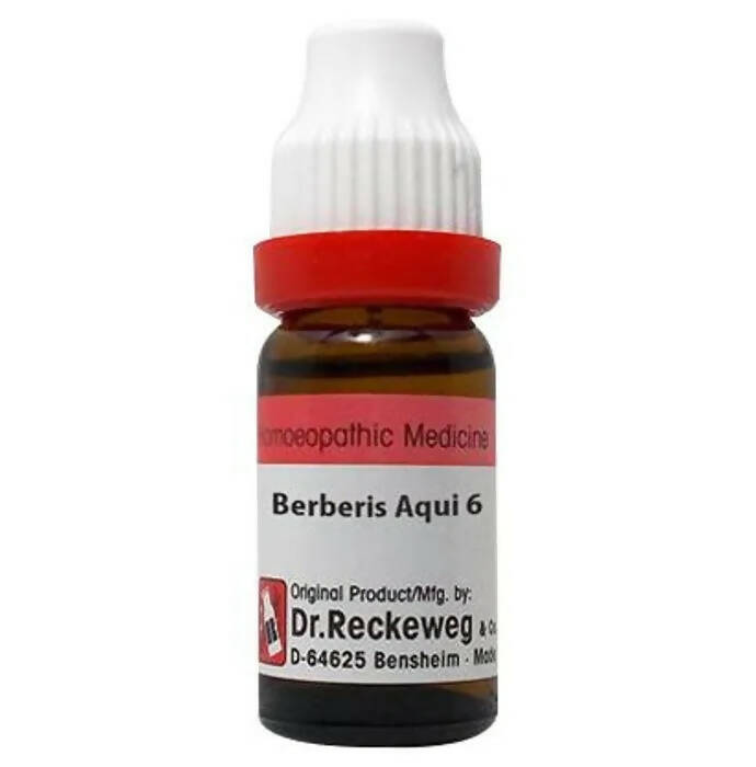 Dr. Reckeweg Berberis Aqui Dilution - usa canada australia