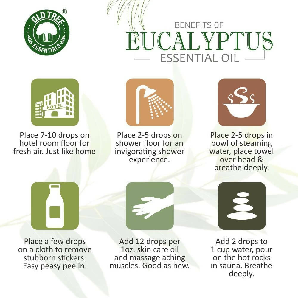 Old Tree 100% Pure Eucalyptus Essential Oil