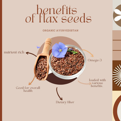 Organic Ayurvedistan Flax Seeds