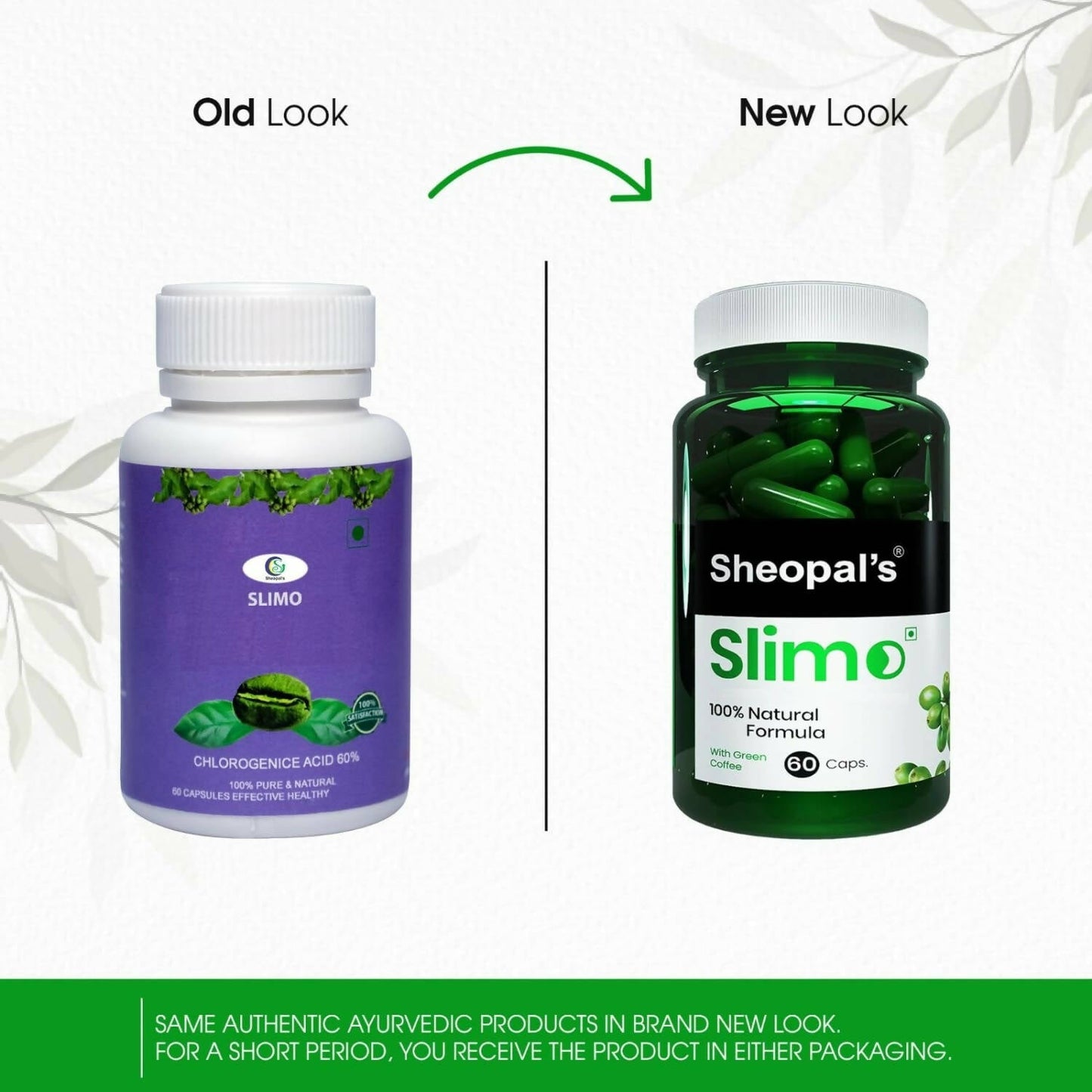 Sheopal's Slimo Pure & Natural Green Coffee Extract Capsules