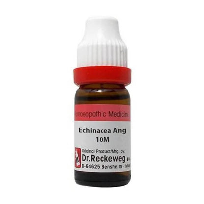 Dr. Reckeweg Echinacea Ang Dilution -  usa australia canada 