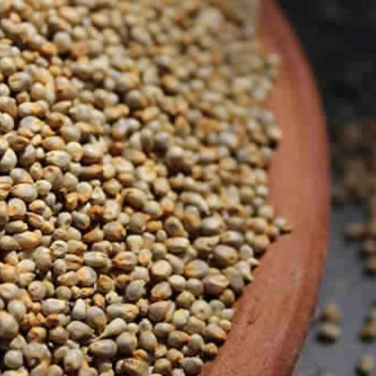 Freshon Pearl Millet - Natural -  USA, Australia, Canada 