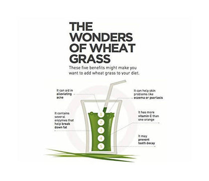 Herbal Hills Wheat-O-Power Wheatgrass Powder