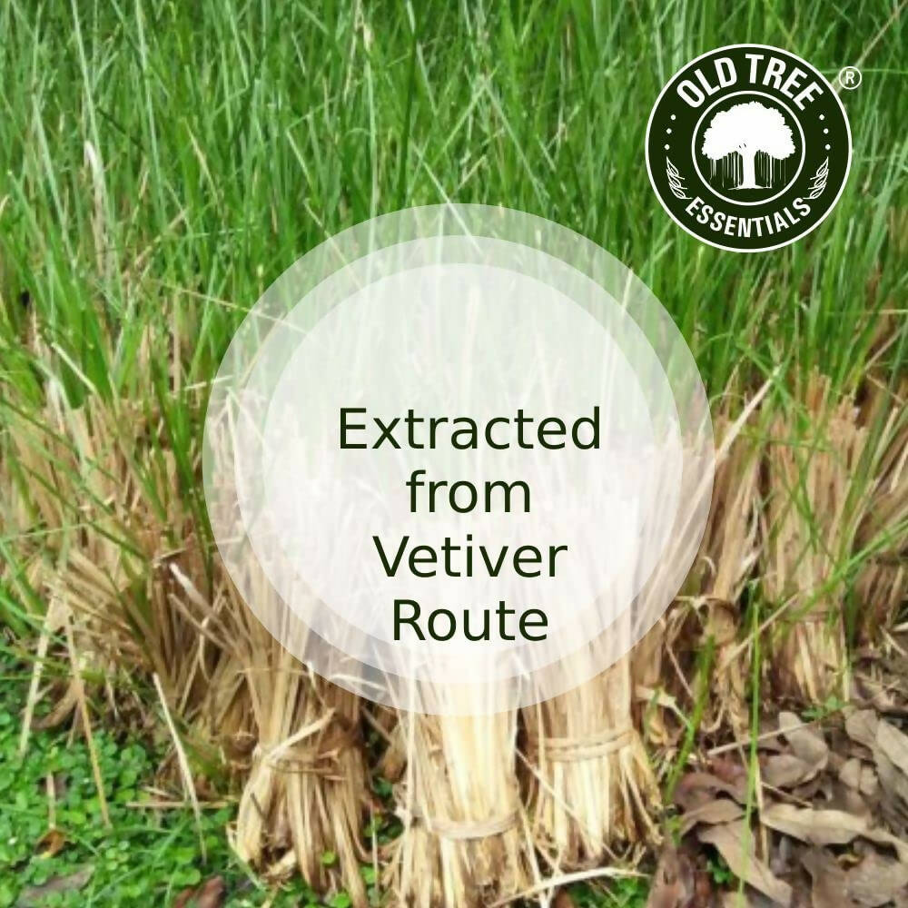 Old Tree Vetiver Essential Oil