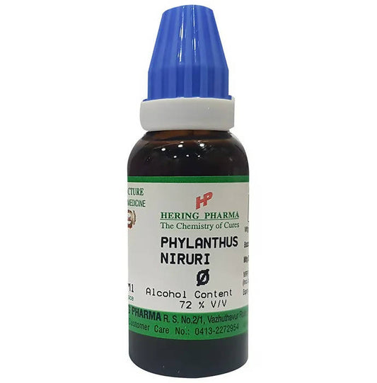Hering Pharma Phylanthus Niruri Mother Tincture Q -  USA 