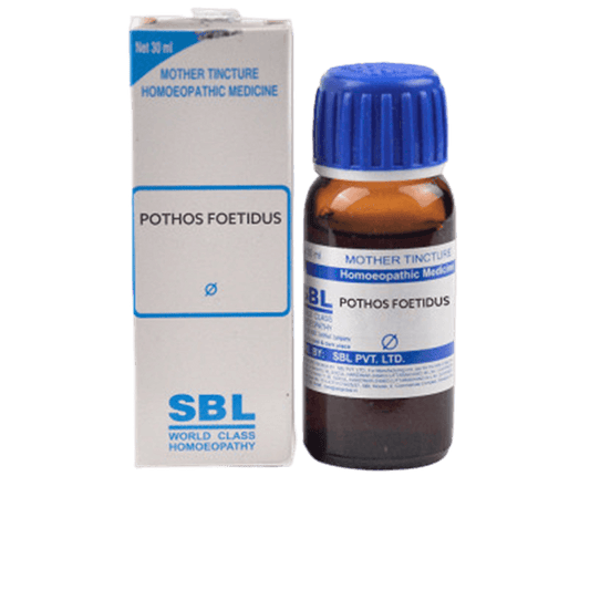 SBL Homeopathy Pothos Foetidus Mother Tincture Q