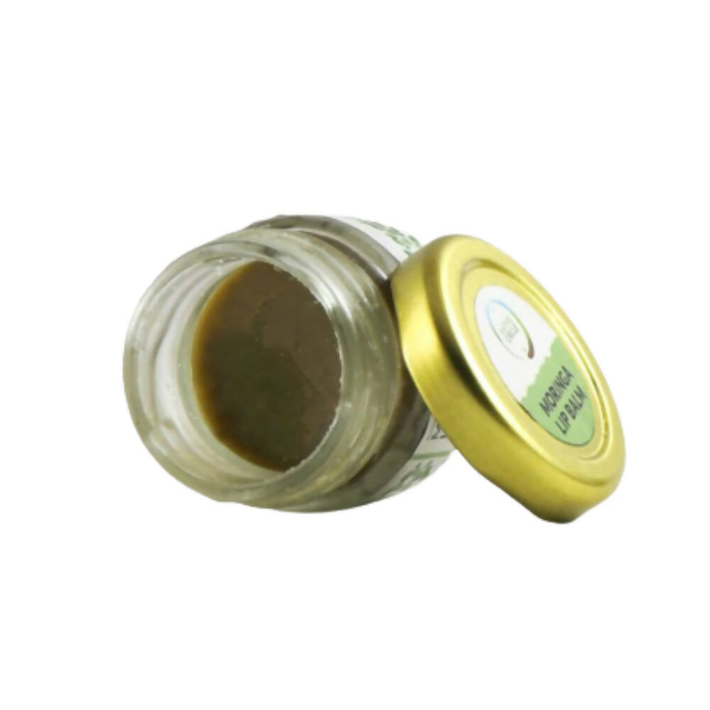 Native Circle Moringa Lip Balm