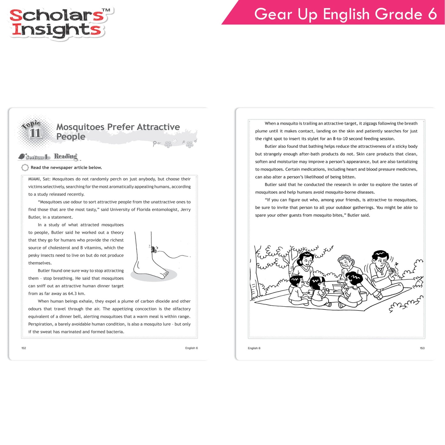 Scholars Insights Gear Up English Grade 6