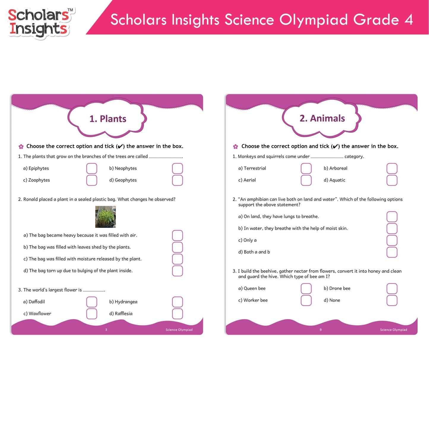 Scholars Insights Olympiad English, Maths and Science Workbooks Grade 4| Set of 3| Ages 9 - 11 Year