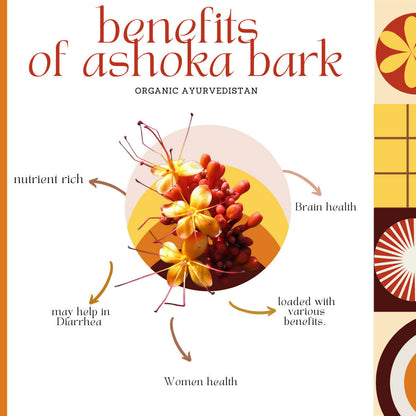 Organic AyurveBUDNEn Ashoka Bark Powder