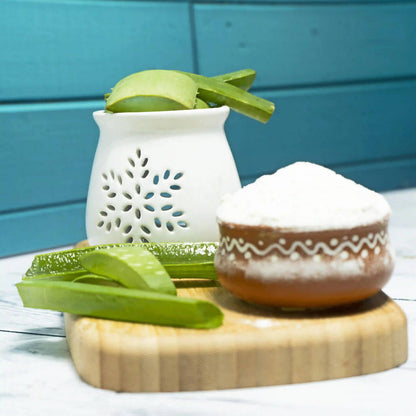 The Wellness Shop Organic Aloe Vera Gel Powder