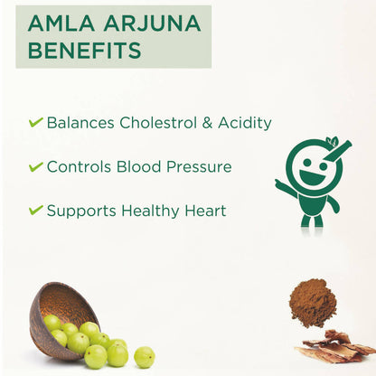 Vitro Naturals I Am Healing Amla Arjuna Juice