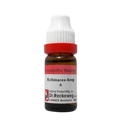 Dr. Reckeweg Echinacea Ang Dilution -  usa australia canada 