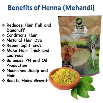 Organic Wellness Sojat Mehandi (Henna)