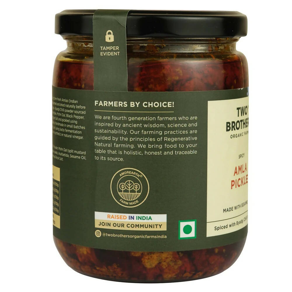 Two Brothers Organic Farms Spicy Amla Pickle