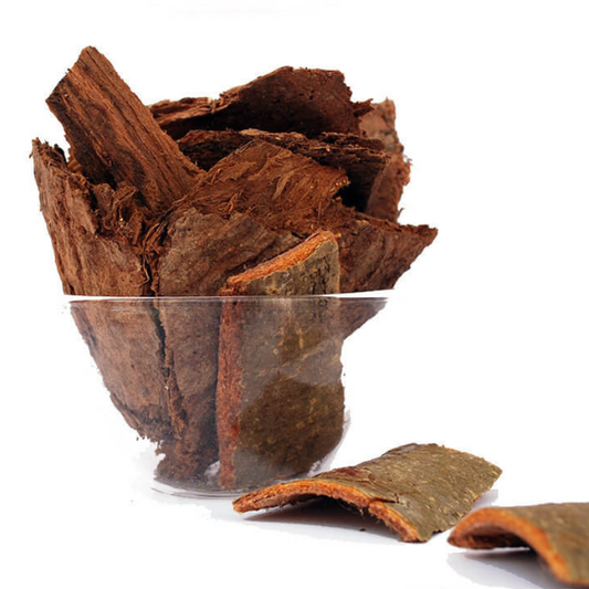 Arasam pattai / Sacred Fig Bark (Raw)