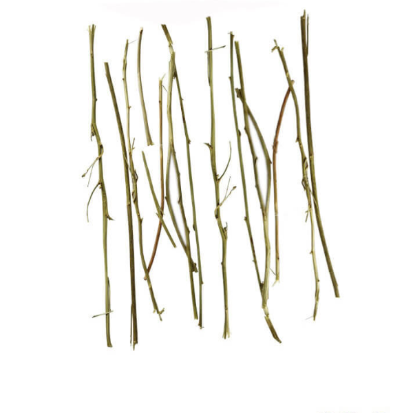 Mela Nelli / Canoe weed Dried (Raw)