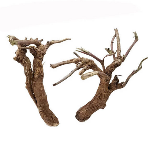 Saranai ver/ Horse Purslane Dried Root (Raw)