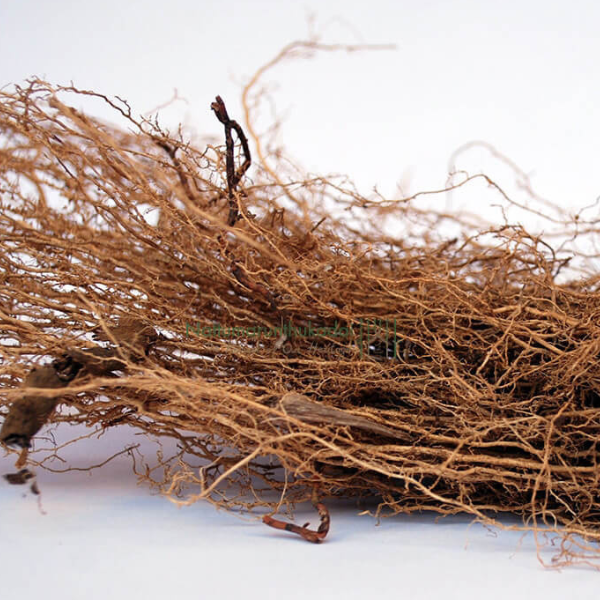 Vetiver / Coleus Vettiveroides Root (Raw)