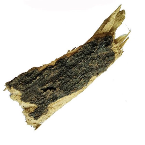 Vilamarathu Pattai / Wood Apple Tree Bark (Raw)