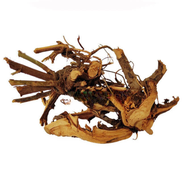 Kodiveli Ver / Leadwort Root Dried (Raw)