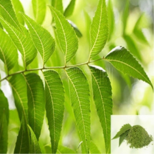 Veppilai / Neem Leaves Dried (Raw)