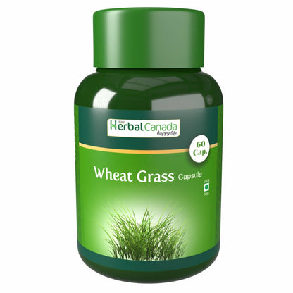 Herbal Canada Wheat Grass Capsules - usa canada australia