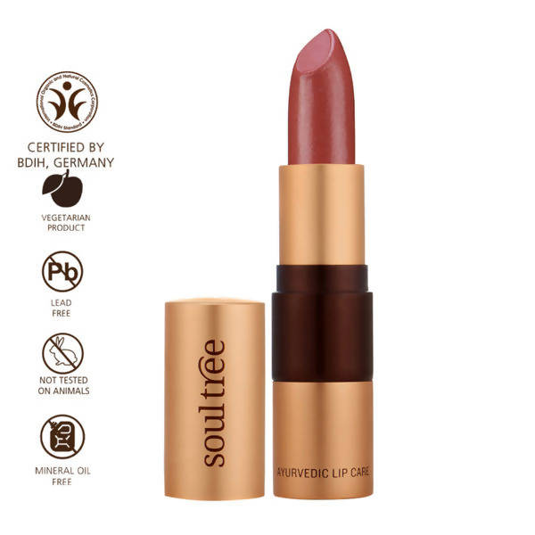 Soultree Ayurvedic Lipstick Shiny Blush 555