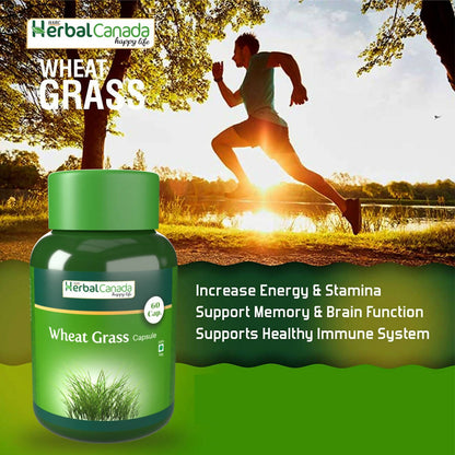 Herbal Canada Wheat Grass Capsules