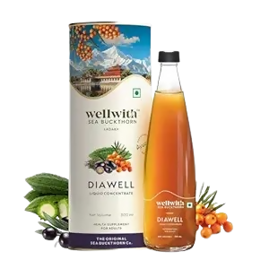 Wellwith Diabowin Karela & Jamun Juice with Seabuckthorn - 300ML