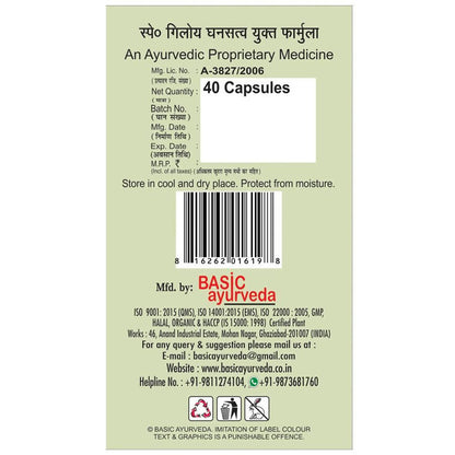 Basic Ayurveda Giloy Power Capsules