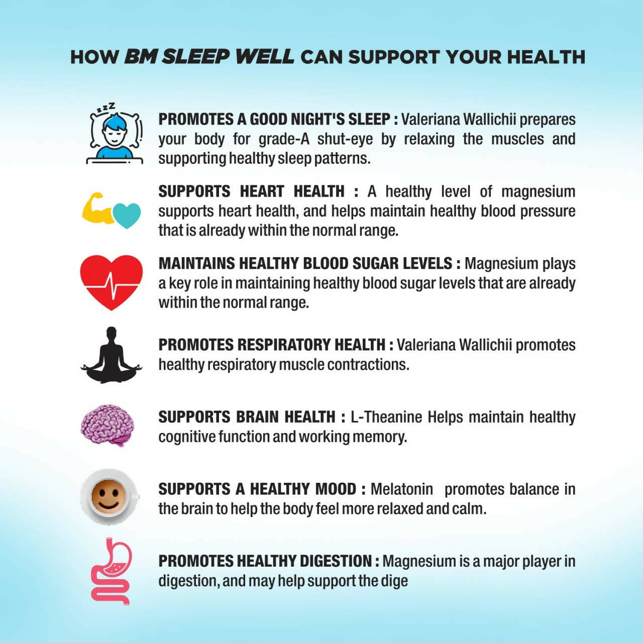 BM Wellness Natural Sleep Well Tablets (800mg)