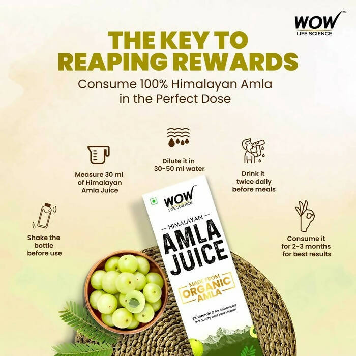 Wow Life Science Himalayan Amla Juice