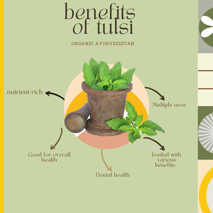 Organic AyurveBUDNEn Tulsi Powder