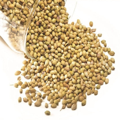 Freshon Coriander Whole Premium